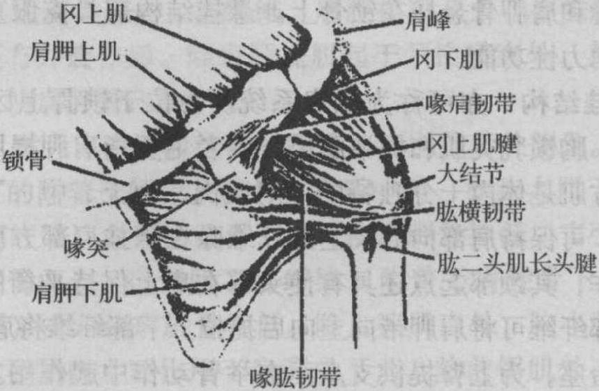 二、靜力